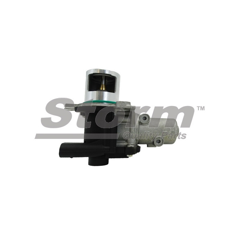 Vanne EGR / AGR STORM