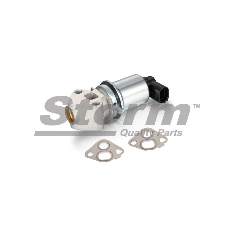 Vanne EGR / AGR STORM