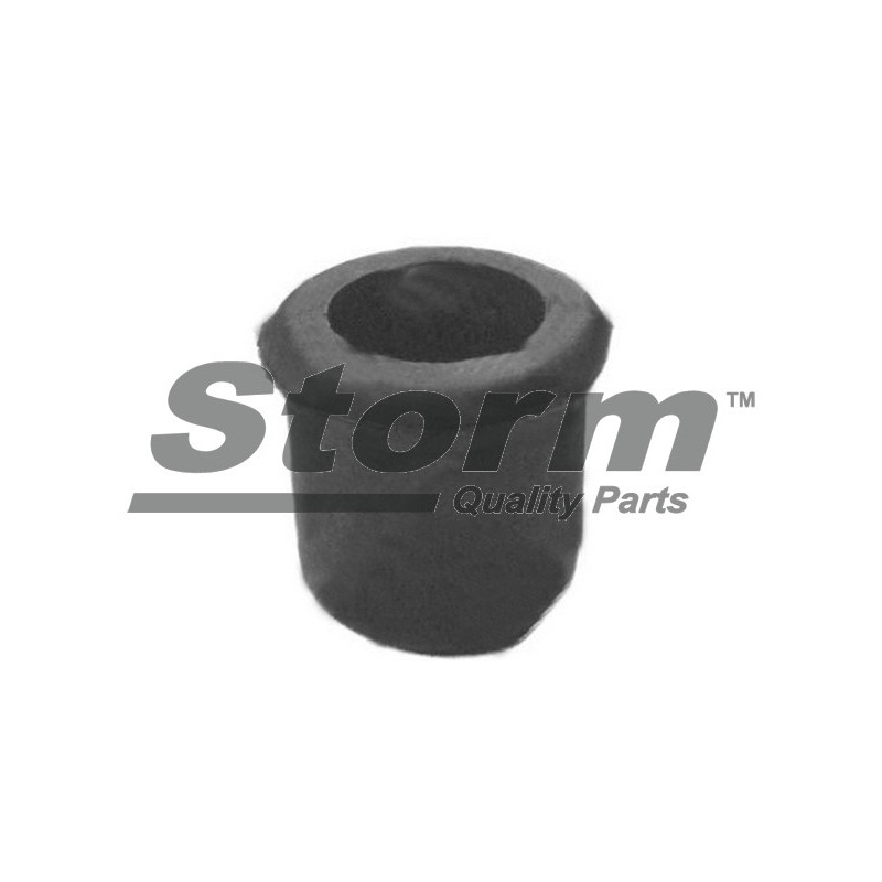 Bouchon d'étanchéité/de protection STORM