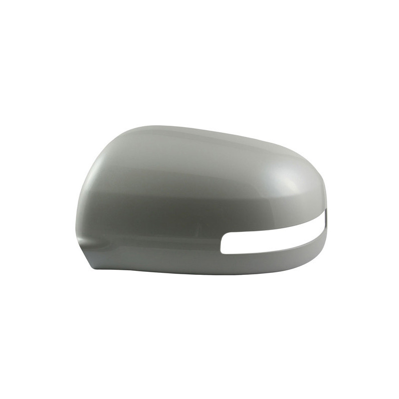 Revêtement (rétro extérieur) SPILU