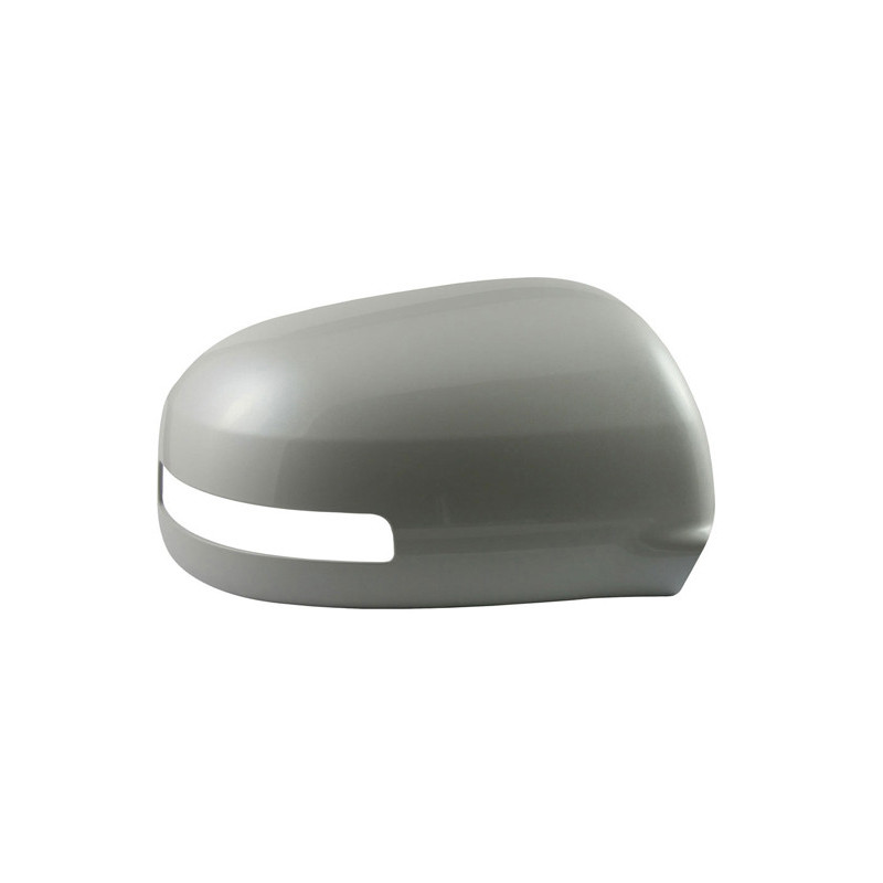 Revêtement (rétro extérieur) SPILU