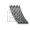 Courroie d'accessoire FEBI BILSTEIN