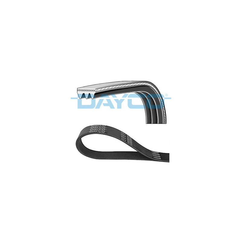 Courroie d'accessoire DAYCO