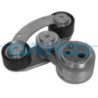 Tendeur de courroie (courroie d'accessoire) DAYCO