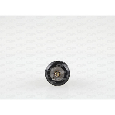 Thermostat d'eau OPEN PARTS