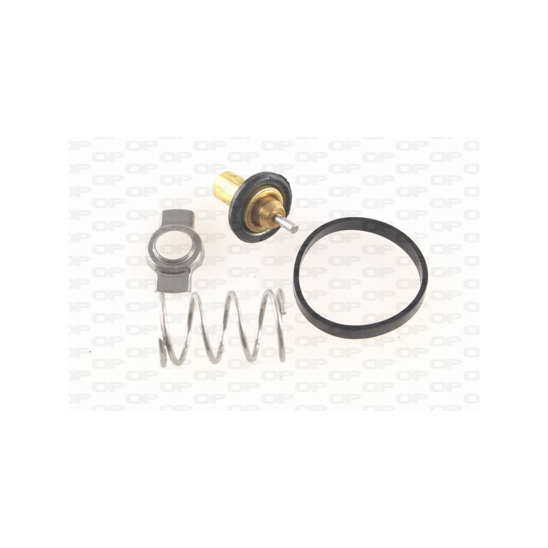 Thermostat d'eau OPEN PARTS