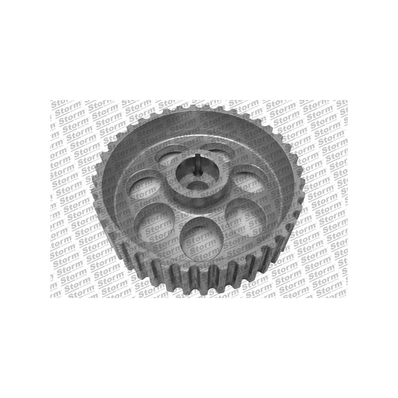 Roue dentée (arbre à came) STORM
