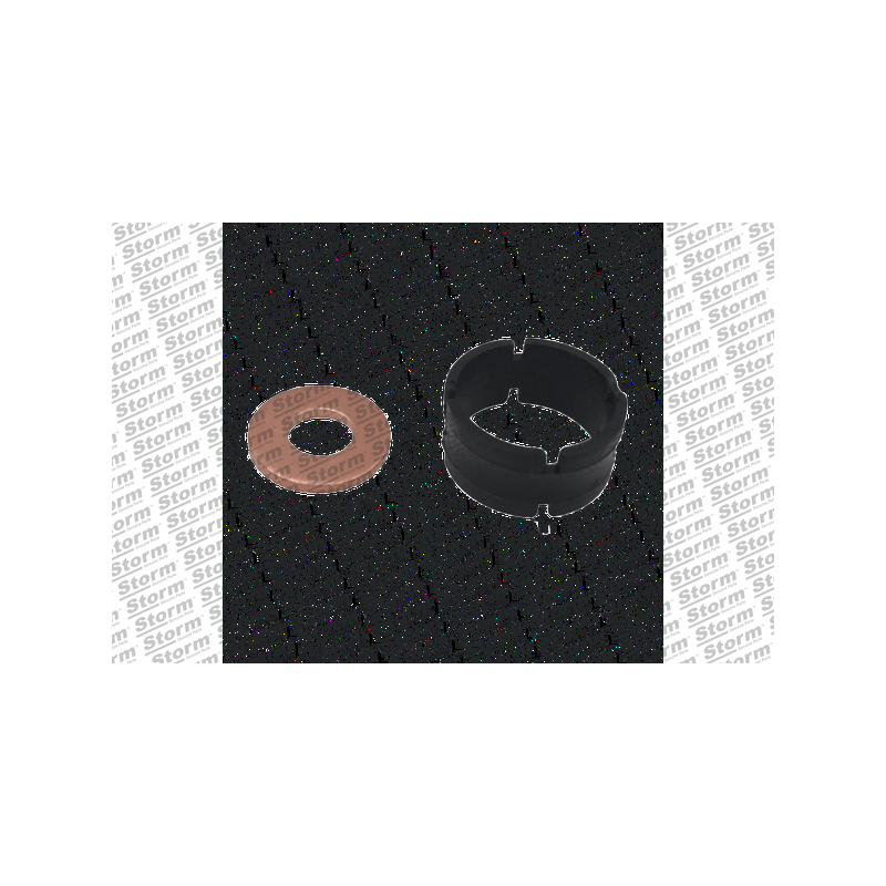 Kit de joints (injecteur) STORM