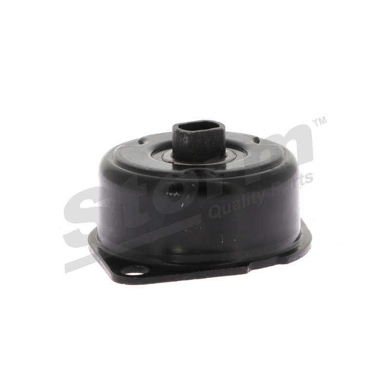 Tendeur de courroie (courroie d'accessoire) STORM