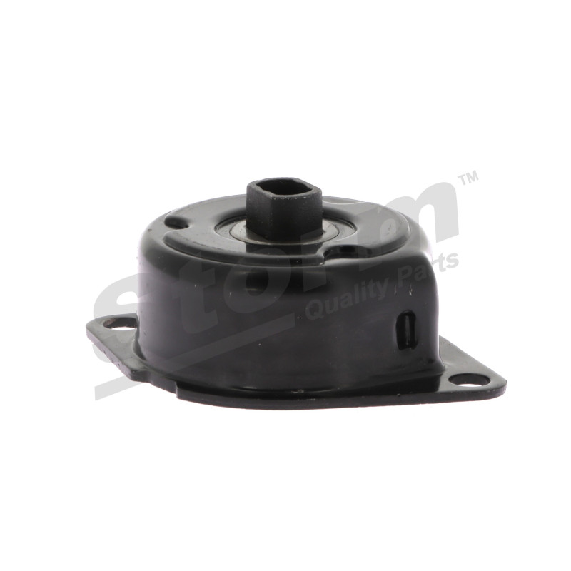 Tendeur de courroie (courroie d'accessoire) STORM