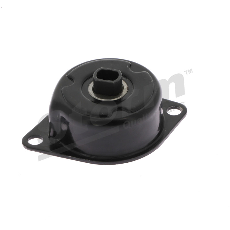 Tendeur de courroie (courroie d'accessoire) STORM