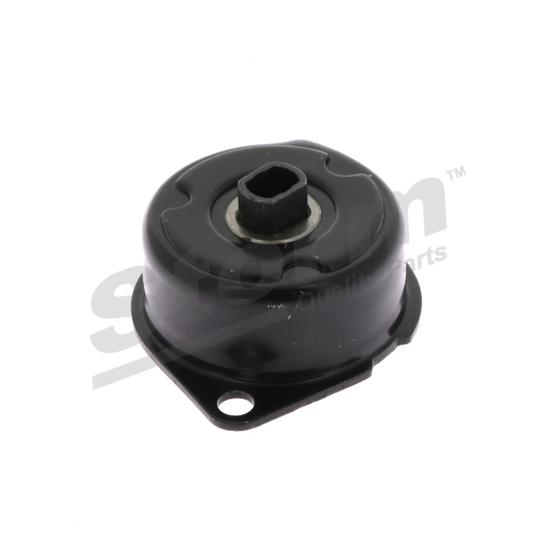 Tendeur de courroie (courroie d'accessoire) STORM