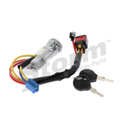 Serrure de blocage de la direction STORM