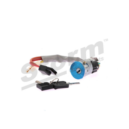 Serrure de blocage de la direction STORM