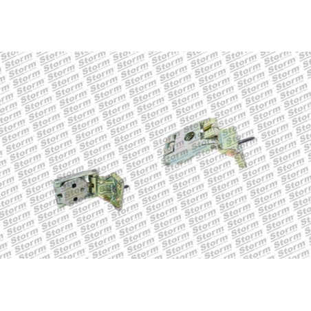 Charnière de porte STORM