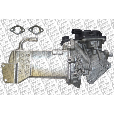 Vanne EGR / AGR STORM