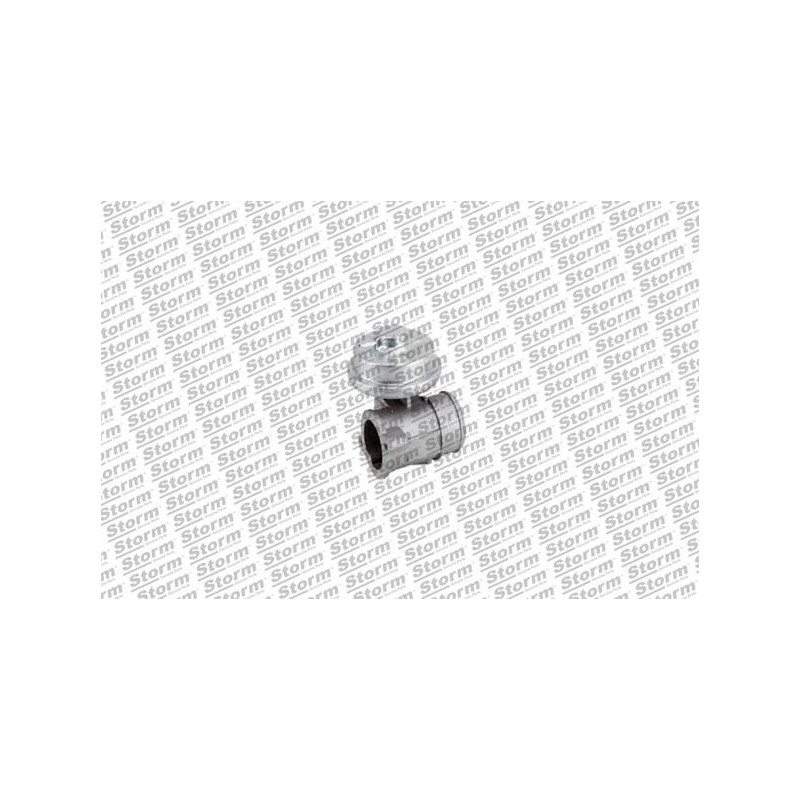 Vanne EGR / AGR STORM