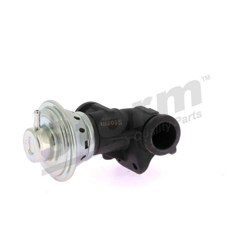 Vanne EGR / AGR STORM