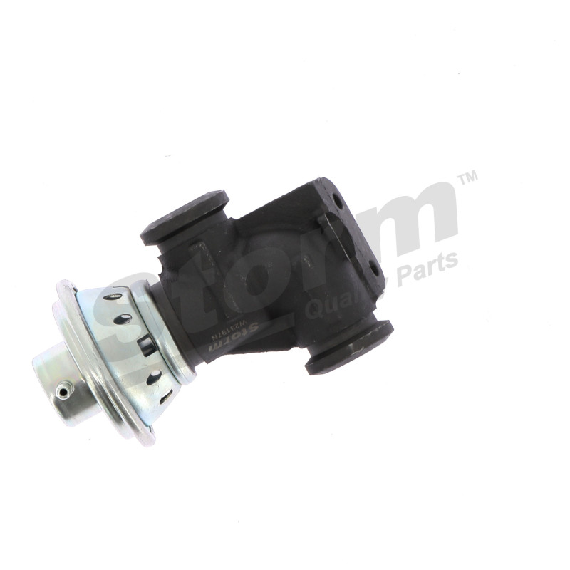 Vanne EGR / AGR STORM