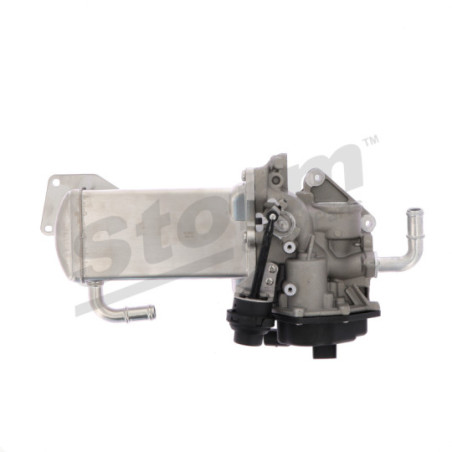 Vanne EGR / AGR STORM