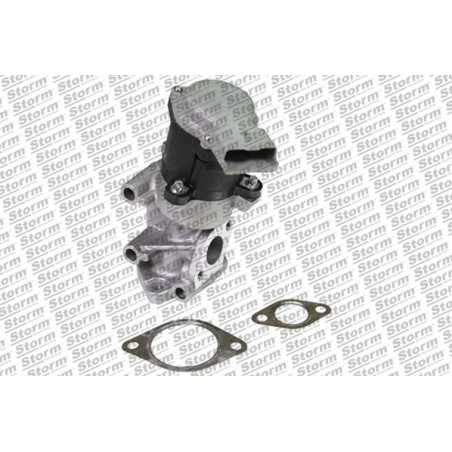 Vanne EGR / AGR STORM