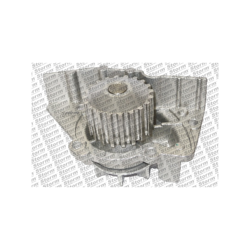 Pompe à eau STORM