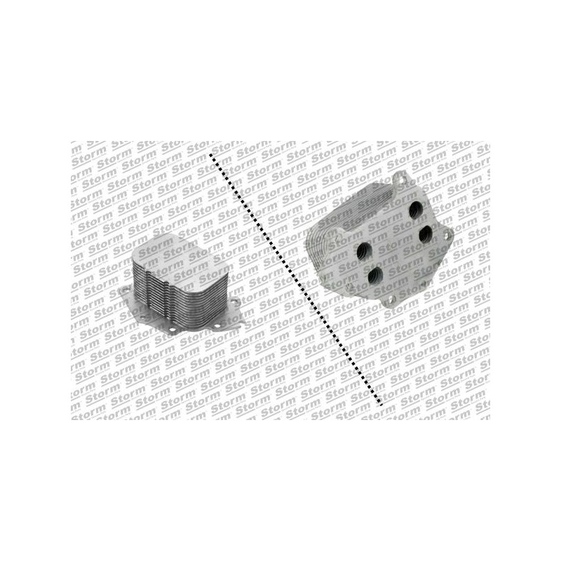 Radiateur d'huile STORM