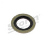 Rondelle d'étanchéité (vis de purge d'huile) STORM