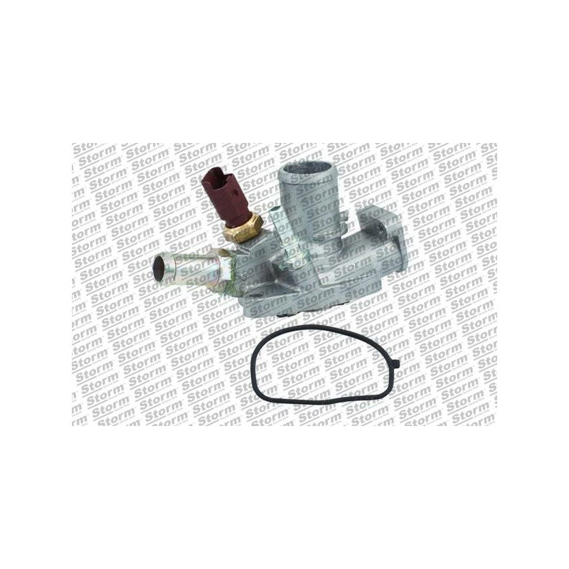 Boîtier du thermostat STORM