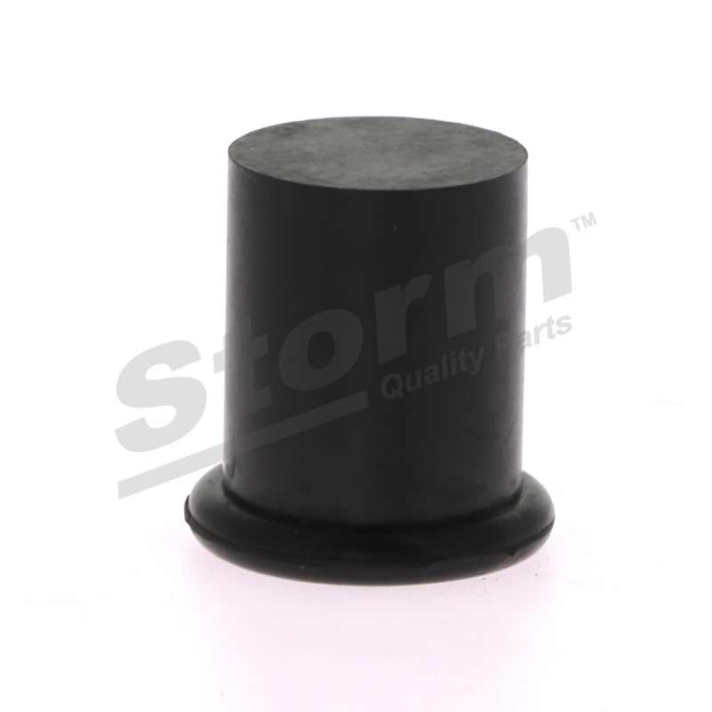 Bouchon d'étanchéité/de protection STORM