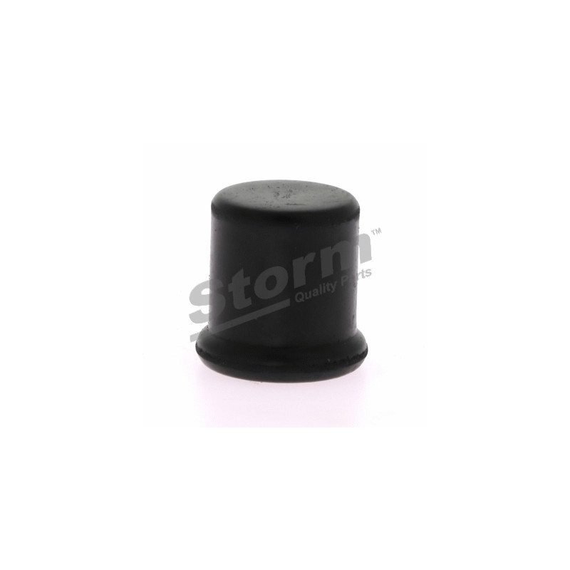 Bouchon d'étanchéité/de protection STORM