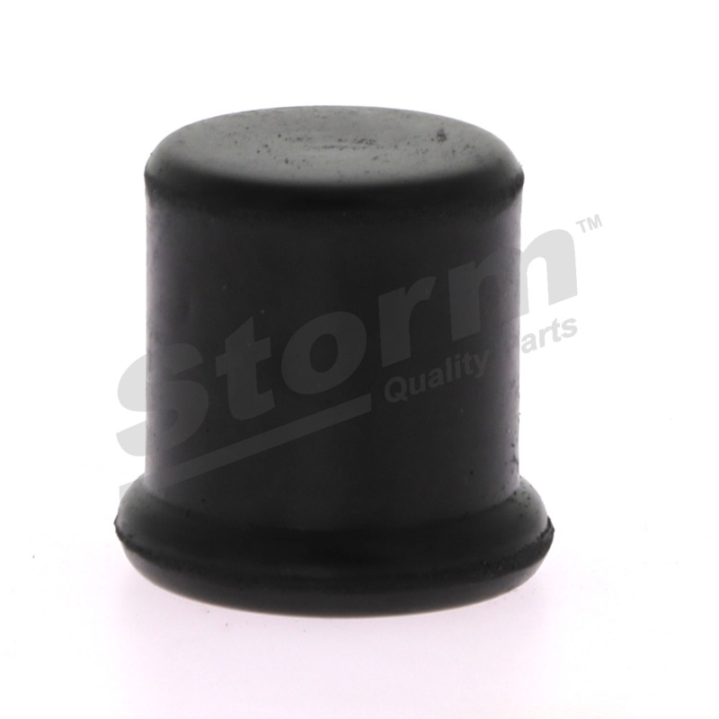 Bouchon d'étanchéité/de protection STORM