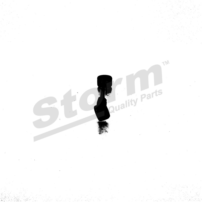 Kit de réparation (levier de vitesse) STORM