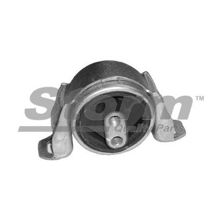 Capot de coffre à bagages/compartiment de chargement STORM