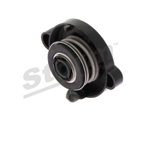 Bouchon de vase d'expansion (liquide de refroidissement) STORM