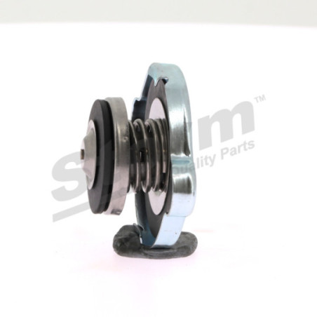 Bouchon de vase d'expansion (liquide de refroidissement) STORM