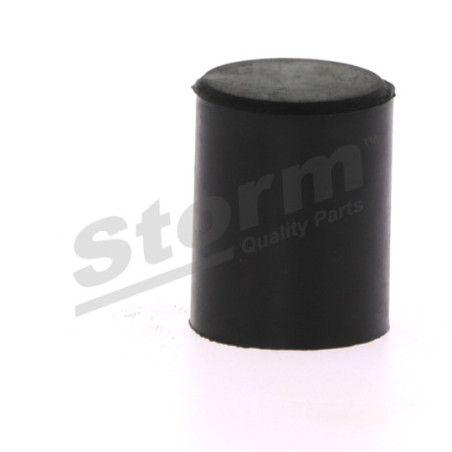 Bouchon d'étanchéité/de protection STORM