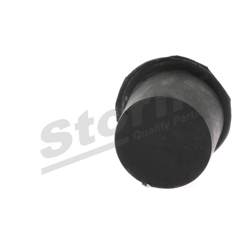 Bouchon d'étanchéité/de protection STORM