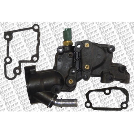 Boîtier du thermostat STORM