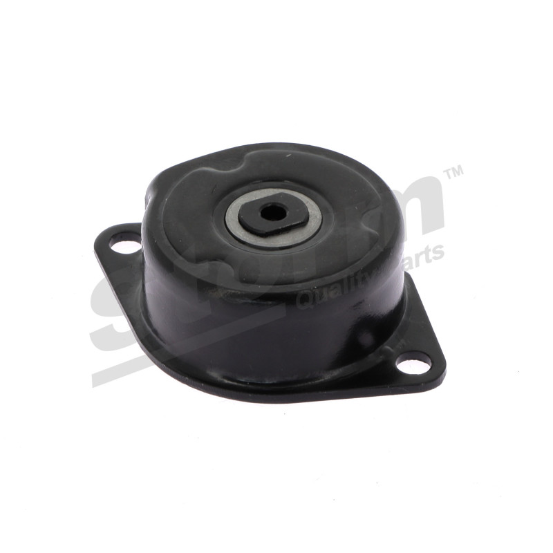 Tendeur de courroie (courroie d'accessoire) STORM