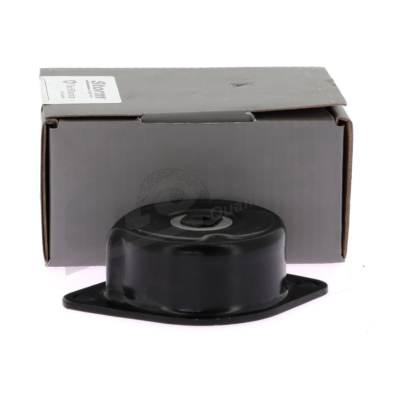 Tendeur de courroie (courroie d'accessoire) STORM