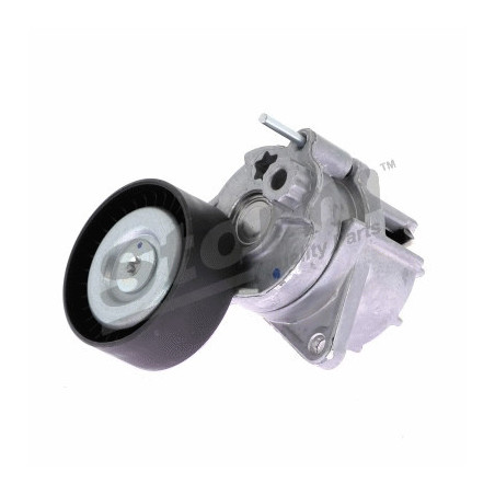 Tendeur de courroie (courroie d'accessoire) STORM