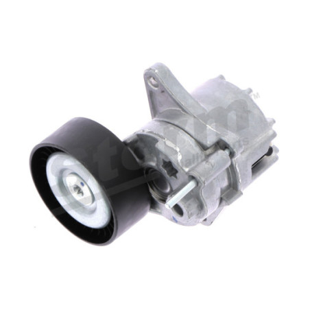 Tendeur de courroie (courroie d'accessoire) STORM