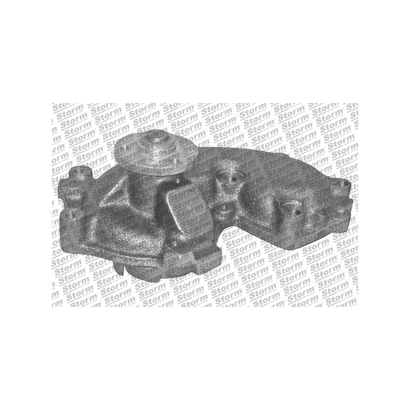 Pompe à eau STORM