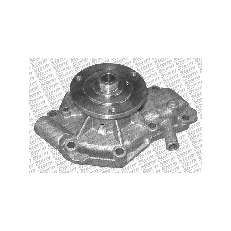 Pompe à eau STORM