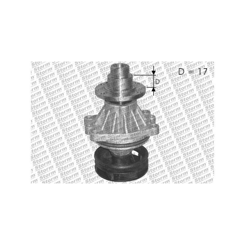 Pompe à eau STORM