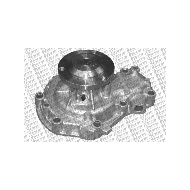 Pompe à eau STORM