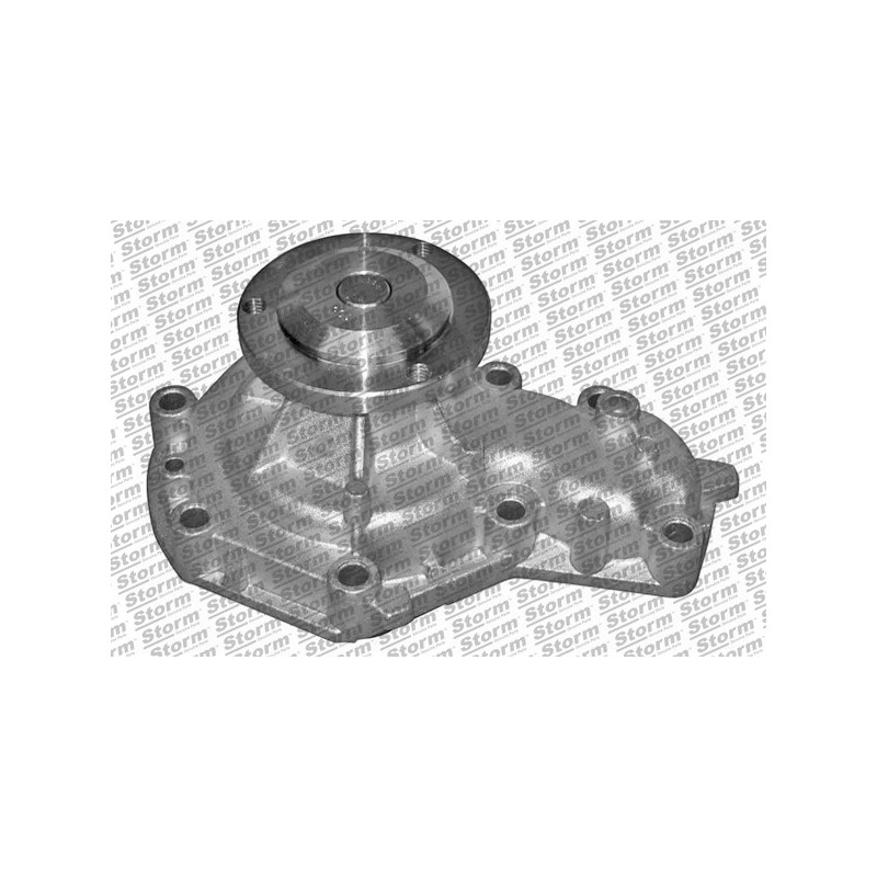 Pompe à eau STORM