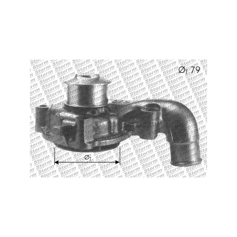 Pompe à eau STORM