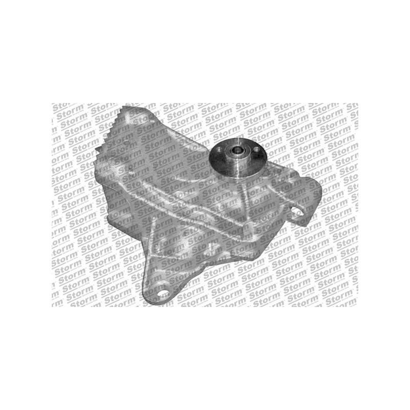 Pompe à eau STORM